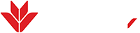 VPBank Learning Academy